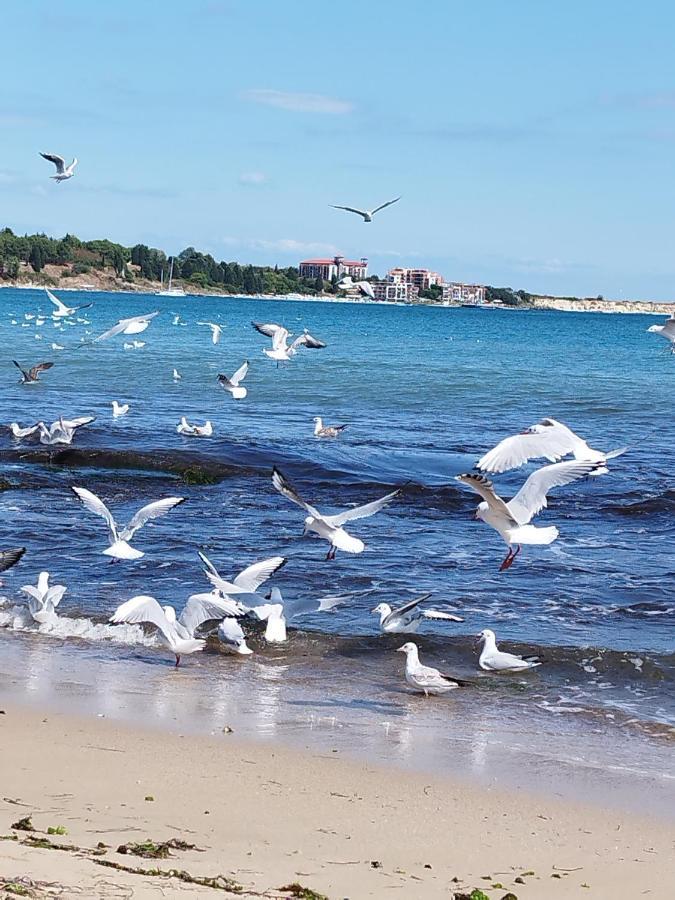 Salvia Διαμέρισμα Ράβντα Εξωτερικό φωτογραφία